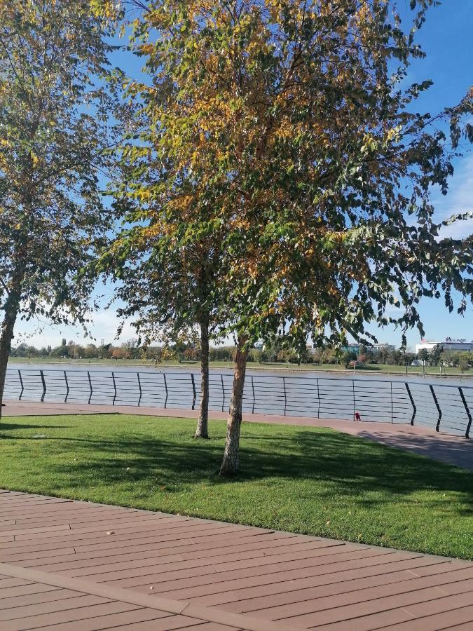 Appartamento Belgrade Waterfront Cozy Symphony 1 Sajmiste Esterno foto